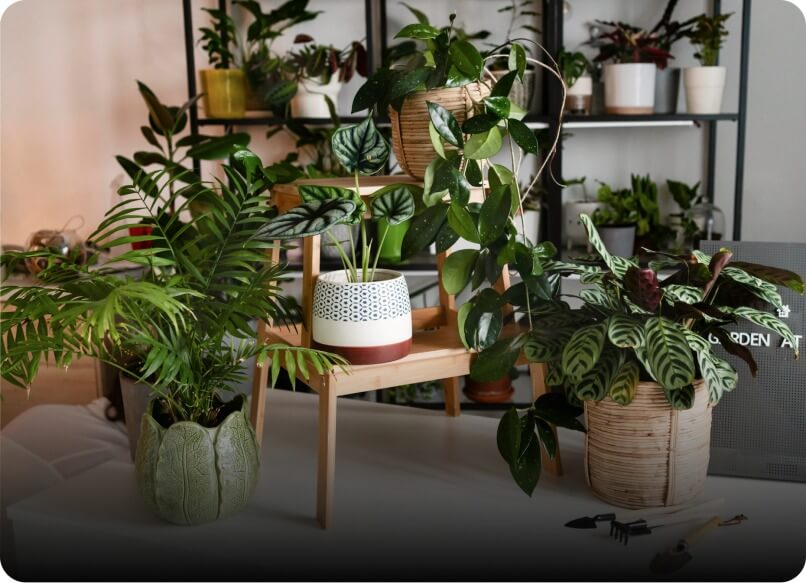 Zútulnění chalupy